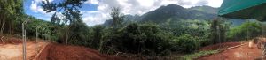 A view of the Laos wildlife sanctuary with trees and mountains in the background covered with grass