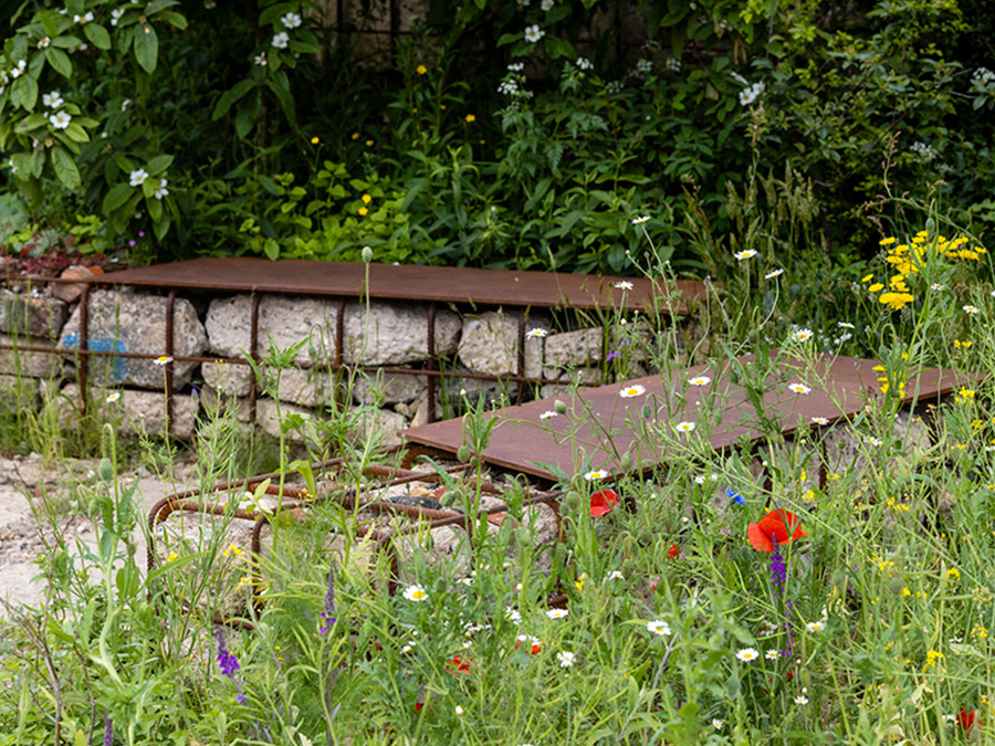 One of the nature areas in the Chelsea flower show's Balance garden